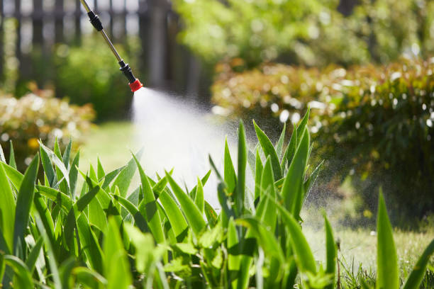 Tamper-Resistant Bait Stations for Rodents in Mescal