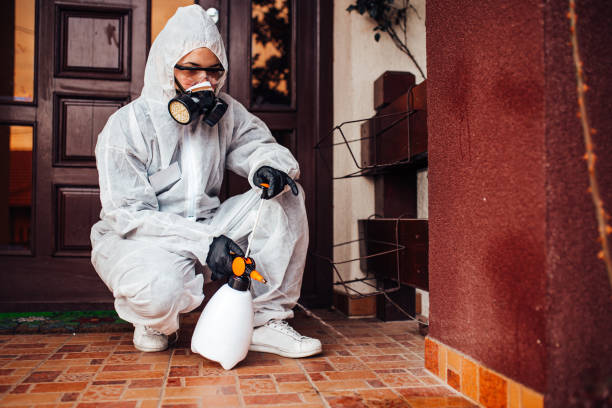 Attic and Crawl Space Rodent Treatment in Mescal