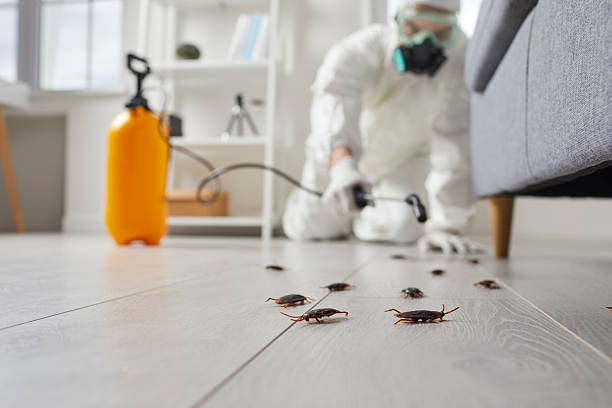 Commercial Rodent Management in Mescal